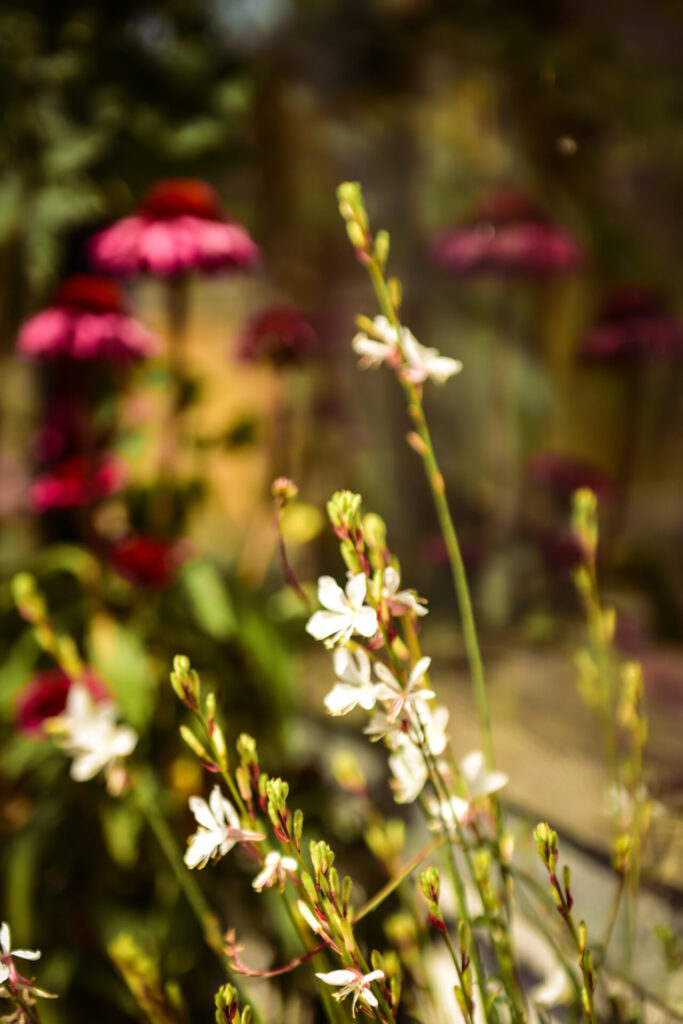Dag retraite, vrouwencirkel, Zij die straalt, EES, tussenuit, dagje weg,