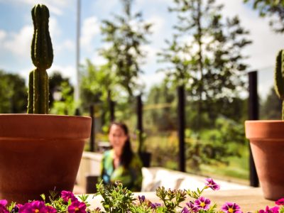 stilte terras EEsystem, energy enhancement system