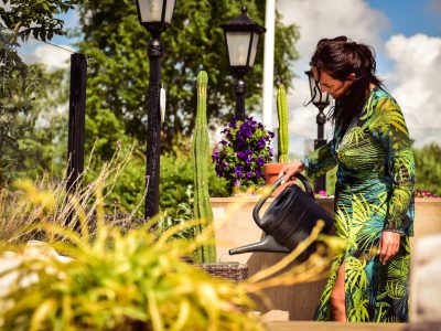 stilte terras EEsystem energy enhancement system retreat sanpedro