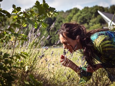 stilte terras EEsystem energy enhancement system retreat