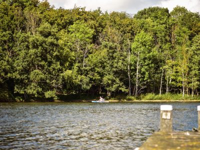 energy enhancement system, suppen, retreat