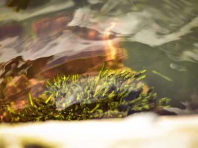 natuur overnachten hostel EEsystem