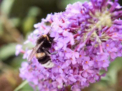 natuur overnachten hostel